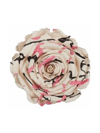 ZZ A. TARTÓSRÓZSA LL WHITE FESTIVAL