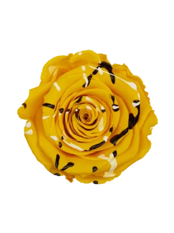 ZZ A TARTÓSRÓZSA LL YELLOW FESTIVAL