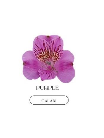 ALST  EC PE GALAXI