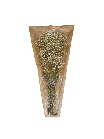 ZVB GYPS CREAM 8435056100190