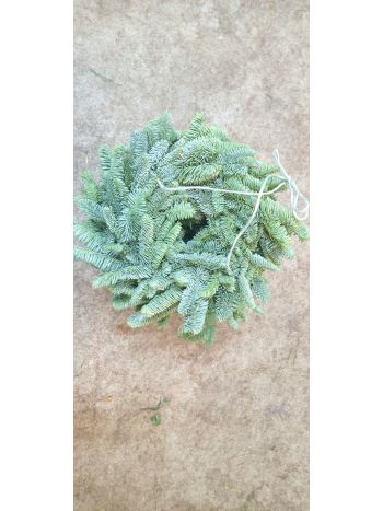 ZZ HU NOBILIS 25-ÖS