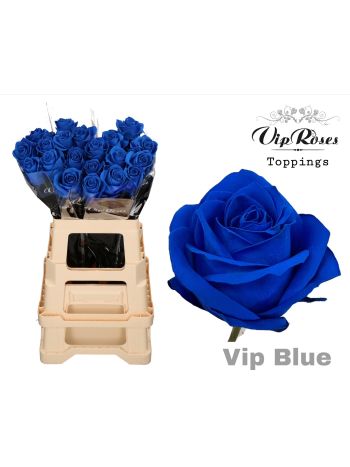 R GR OV KLB H% - BLAUW 65CM