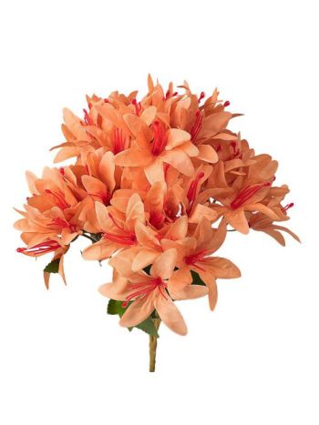 Orchidea selyemvirág csokor- 5 ágú- 29cm magas - Bézs