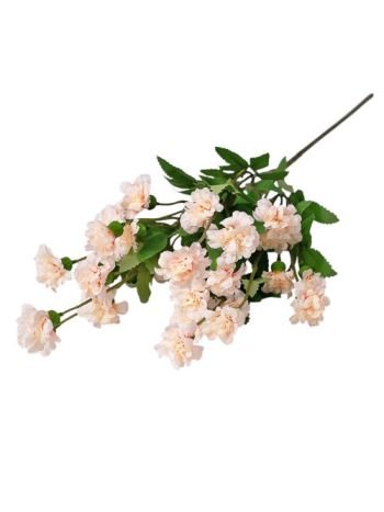 Kerti szegfű ág- 70cm magas - Barack/Fehér