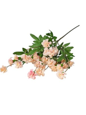 Kerti szegfű ág- 70cm magas - Pink/Fehér