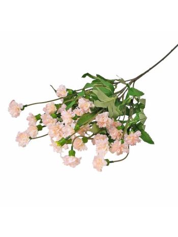 Kerti szegfű ág- 70cm magas - Ekrü