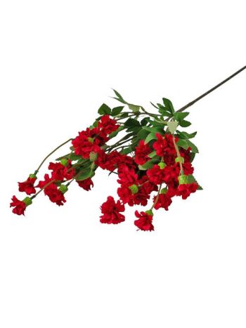 Kerti szegfű ág- 70cm magas - Bordó