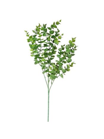 Eukaliptusz csokor- 3 ágú- 70cm magas - Sötétzöld