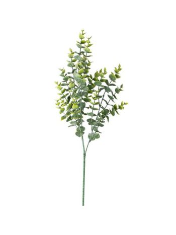 Eukaliptusz csokor- 3 ágú- 70cm magas - Zöld / Fehér