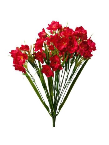 Nárcisz selyemvirág csokor- 47cm magas - Piros