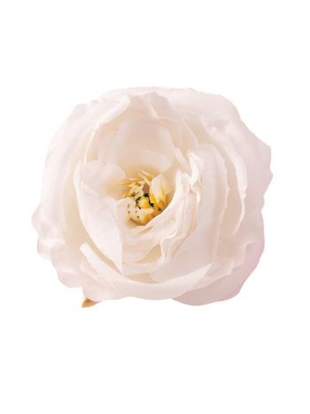 Peónia selyemvirág fej- 7cm - Fehér