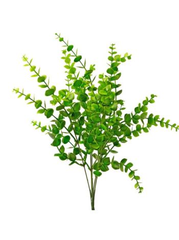 Havasi eukaliptusz- 5 ágú- 42cm magas - Hamvas zöld