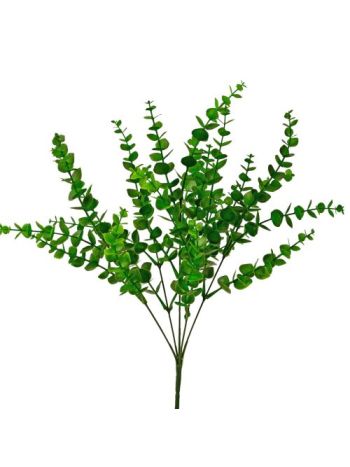 Havasi eukaliptusz- 5 ágú- 42cm magas - Sötétzöld