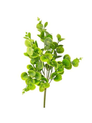 Pénzlevelű pilea műnövény- 5 ágú- 40cm magas - Világoszöld