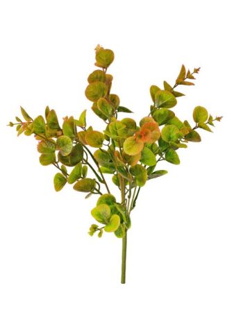 Pénzlevelű pilea műnövény- 5 ágú- 40cm magas - Barnás zöld