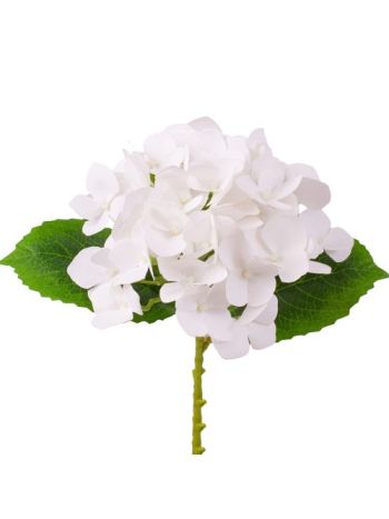 Hortenzia ág- 21cm magas- virágfej átmérő: 15cm - Fehér