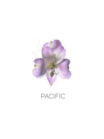 ALST  EC S PACIFIC