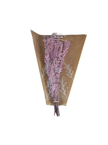 ZVB PUBESCENS DUSTY ROSA 30/50 8435056106000