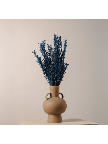 ZVB PUBESCENS DUSTY AZUL 30/50 8435056106017