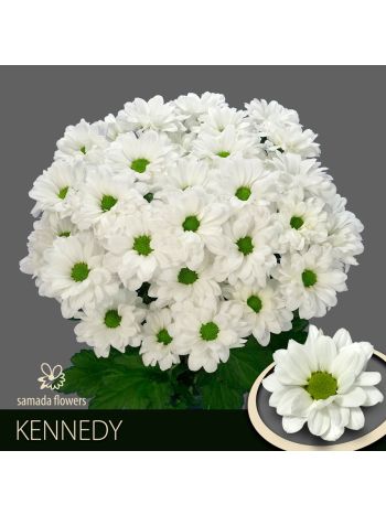 CHR T  F. KENNEDY