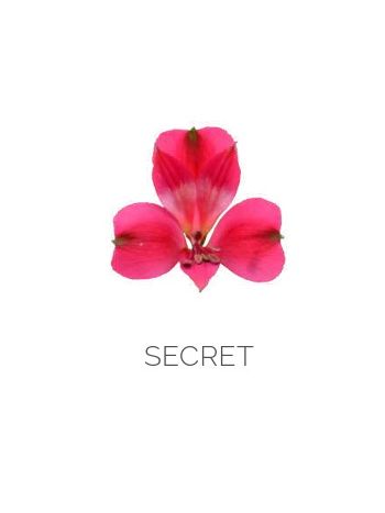 ALST  EC S SECRET