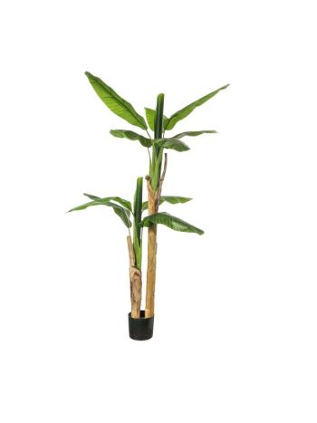 Selyemvirág Banán pálma kaspóban 180cm zöld A28838