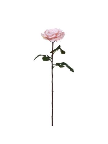 Selyemvirág kerti rózsa szálas 67 cm barack SSS DD61273