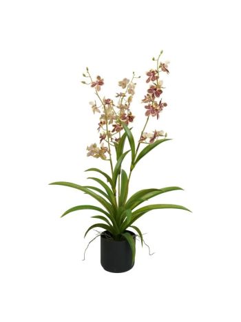 Selyemvirág Lepkeorchidea 3 ágú- kaspóban műanyag 70 cm mályva- zöld