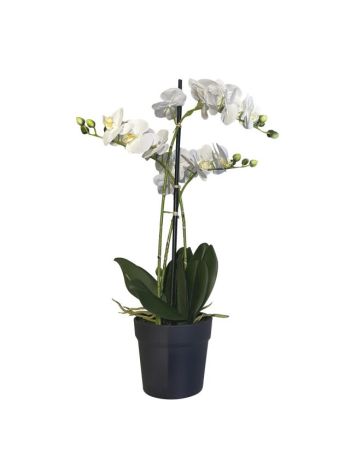 Selyemvirág Orchidea 3 ágú cserepes műanyag 67cm fehér CM359661