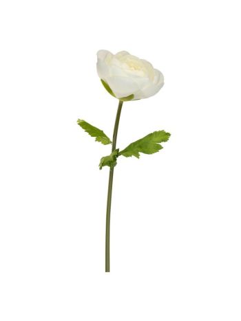 Selyemvirág óriás boglárka XXL 150x45 cm krém