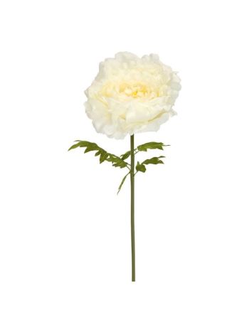 Selyemvirág óriás peonia XXL 150x55 cm krém