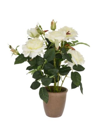 Selyemvirág rózsabokor kerámia kaspóban műanyag 51cm fehér SSS DD61182