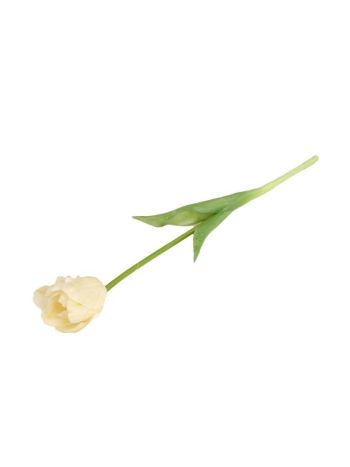 Selyemvirág tulipán cirmos gumi 41cm fehér