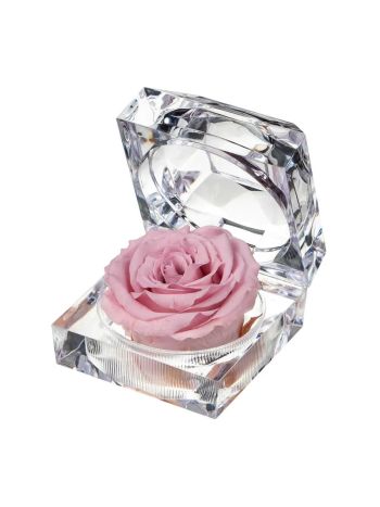 ZZ A TARTÓSRÓZSA JEWEL PIN 04