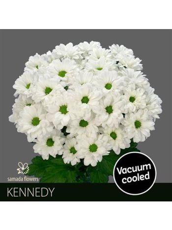 CHR T  F. KENNEDY - %
