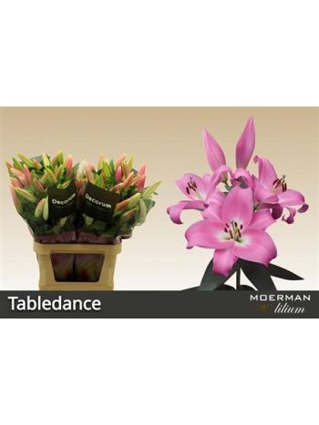 LI OT TABLEDANCE 90CM