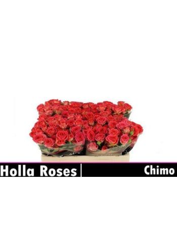 R TR5 CHIMO