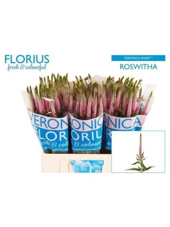 VERON CLEA ROSWITHA