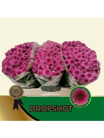 CHR SAN DROPSHOT