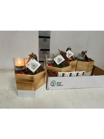 Ö. HIPP MÉCSES FA KASPÓ