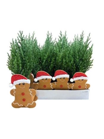 Ö. CHAM MÉZESKALÁCS