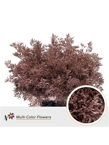 LIM OV KLB H% - ROSE GOUD