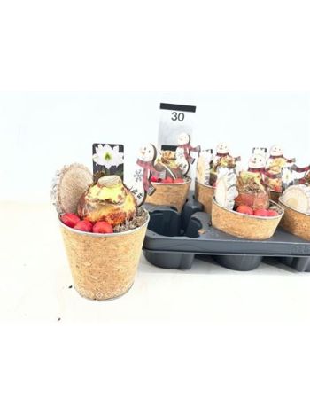 Ö. HIPP ZINK KASPÓS