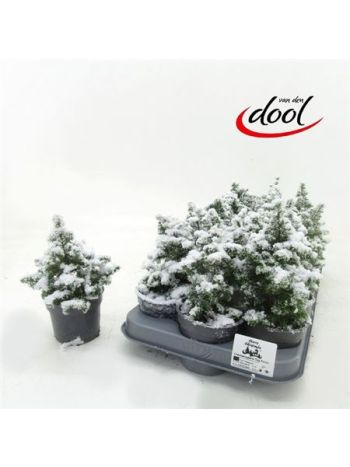 CHAM TH TOP POINT HAVAS