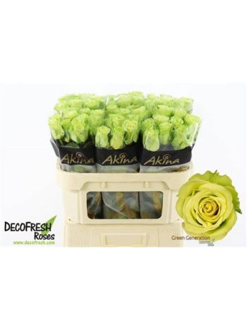 R GR GREEN GENERATIO 70CM