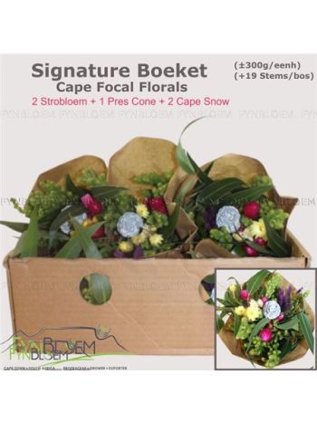 KAAPS GROE GEM IN BS