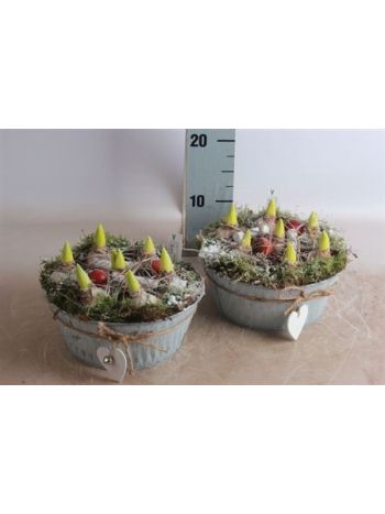 Ö. HYAC 7 PP ZINK TÁL