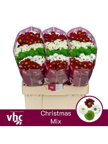 CHR SAN GEM - CHRISTMAS