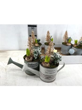 Ö. HYAC 1 PP CHAM KANNA