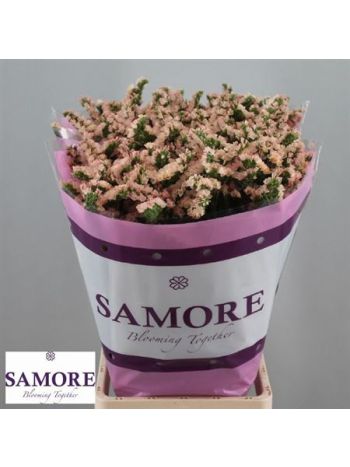 LIM S GLOW SUN BIRDS 80CM